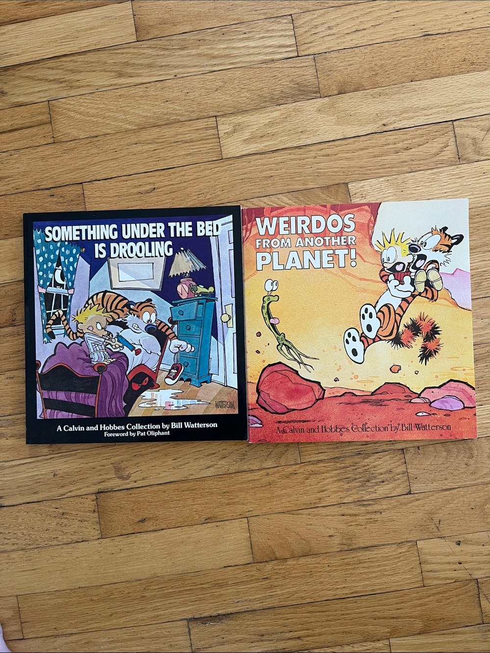Calvin & Hobbes Paperback Graphic Novel Books Set of 2